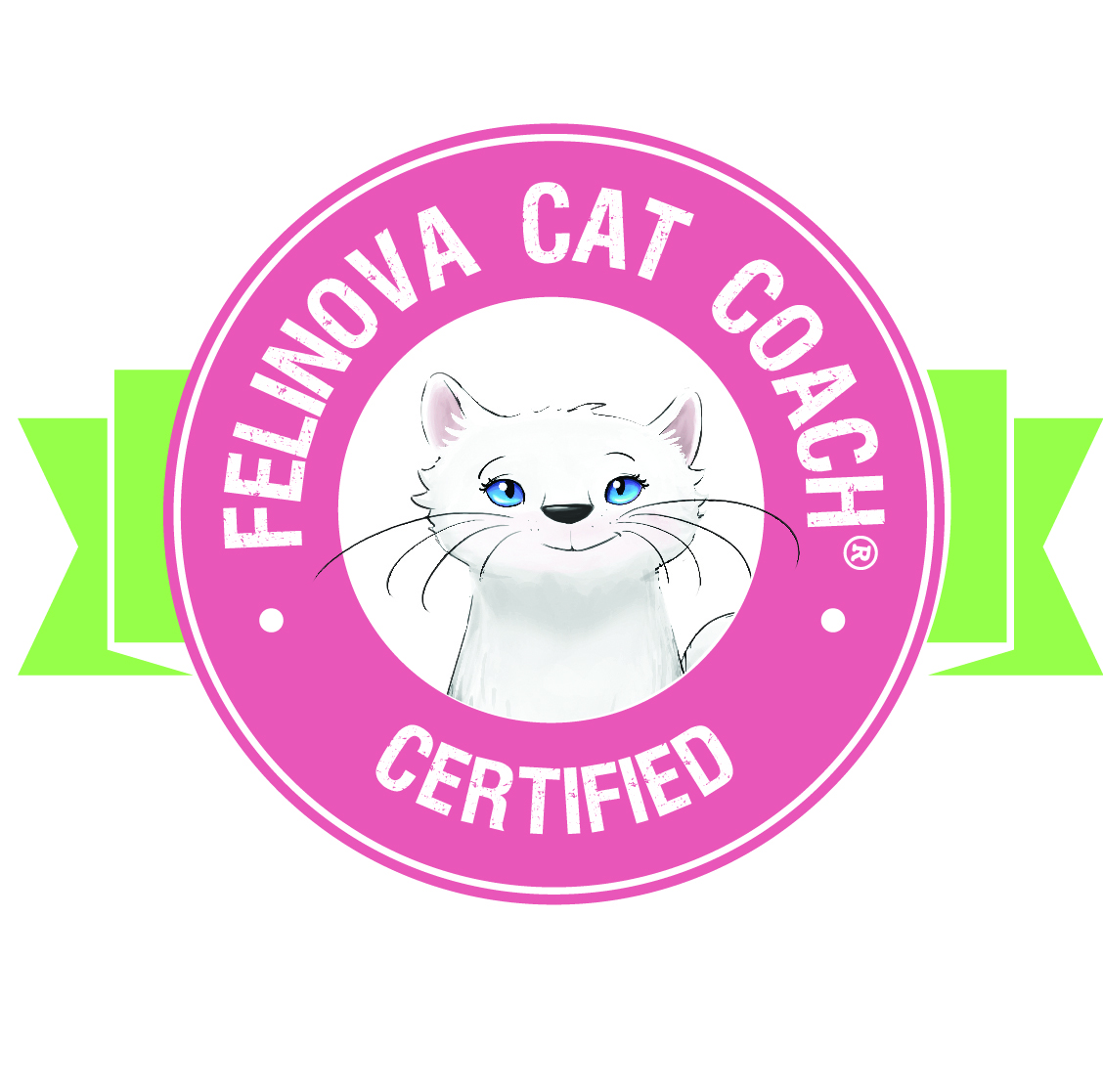 Cat Coach Felinova - Certified